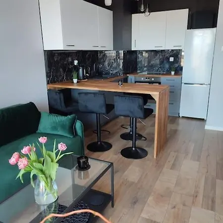Apartament Blisko Morza * 格但斯克